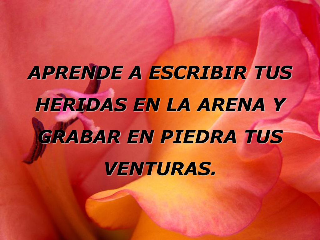 APRENDE A ESCRIBIR TUS HERIDAS EN LA ARENA Y GRABAR EN PIEDRA TUS