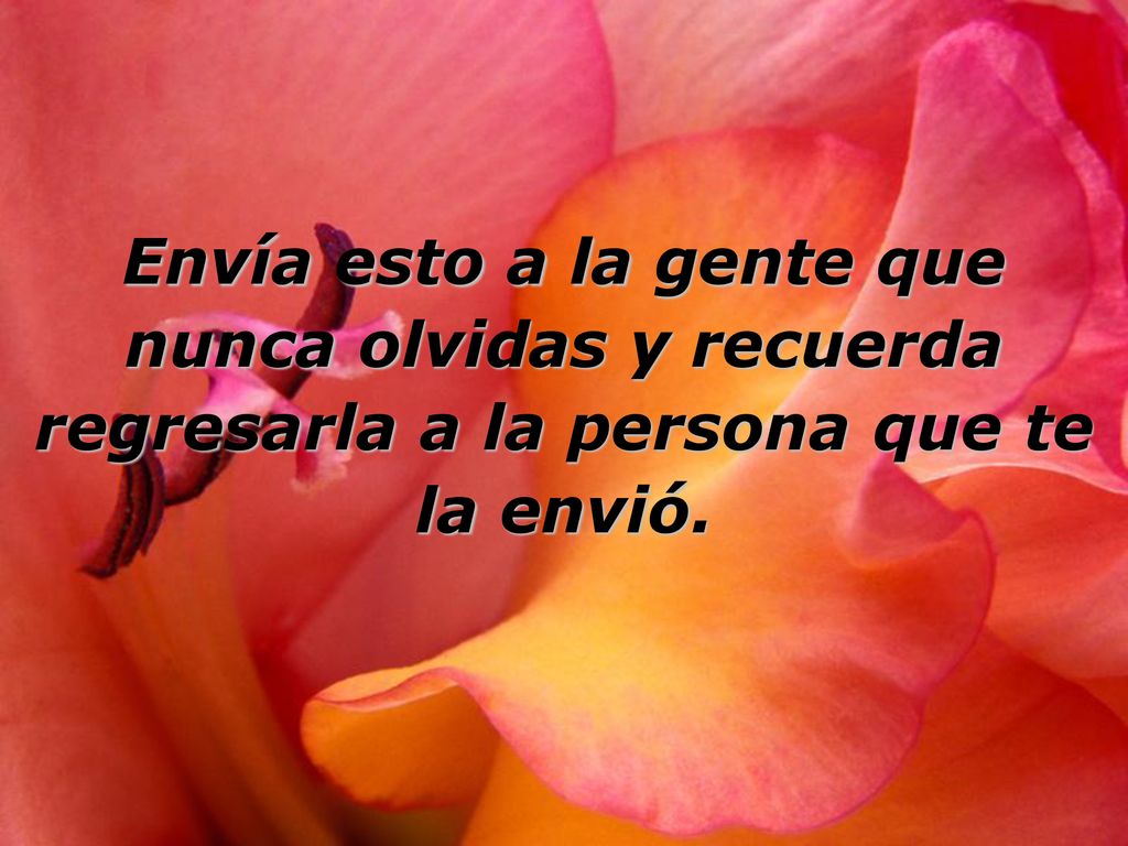 Envía esto a la gente que nunca olvidas y recuerda regresarla a la persona que te la envió.
