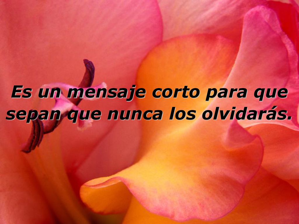 Es un mensaje corto para que sepan que nunca los olvidarás.