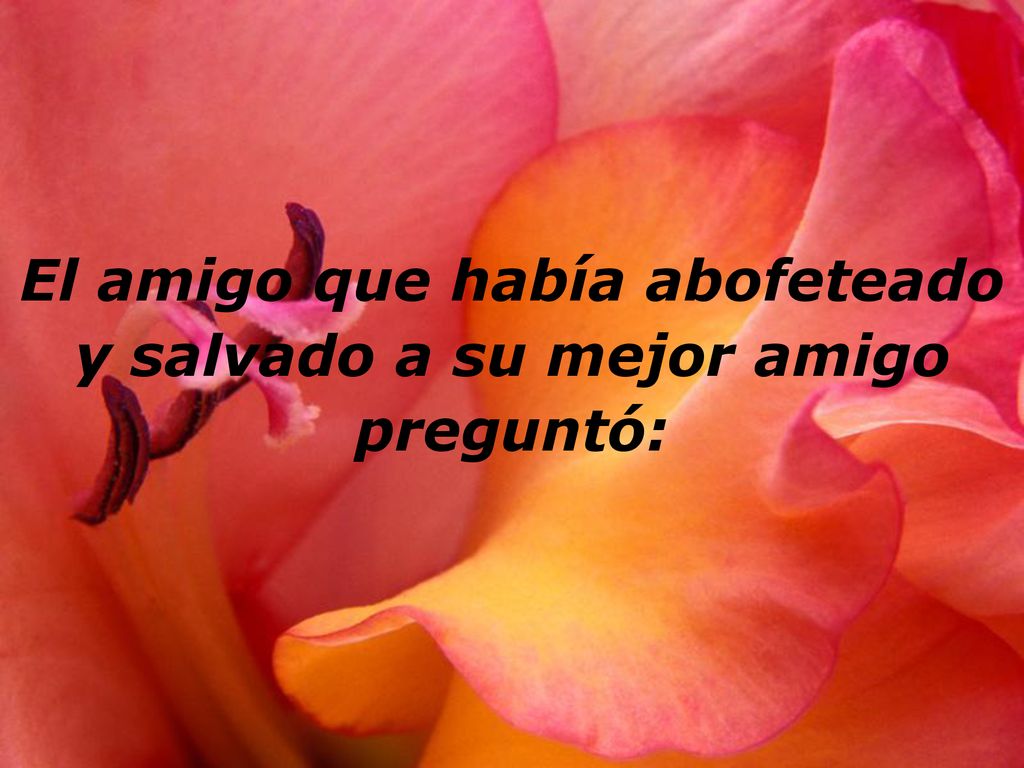 El amigo que había abofeteado y salvado a su mejor amigo preguntó: