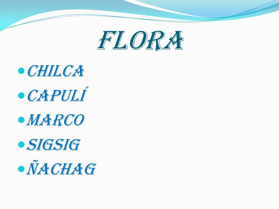 FLORA Chilca Capulí Marco Sigsig Ñachag
