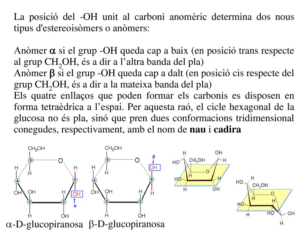 La posició del -OH unit al carboni anomèric determina dos nous tipus d estereoisòmers o anòmers: