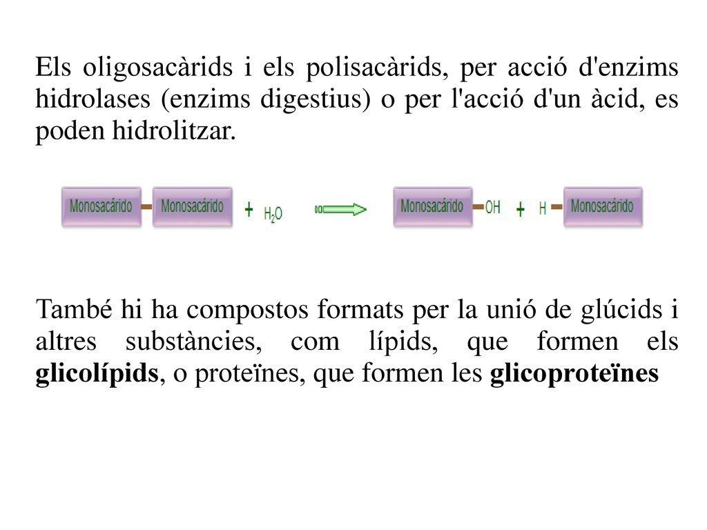 Els oligosacàrids i els polisacàrids, per acció d enzims hidrolases (enzims digestius) o per l acció d un àcid, es poden hidrolitzar.