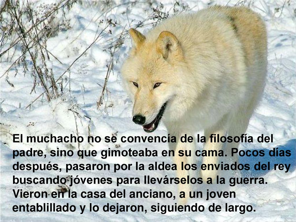El muchacho no se convencía de la filosofía del padre, sino que gimoteaba en su cama.
