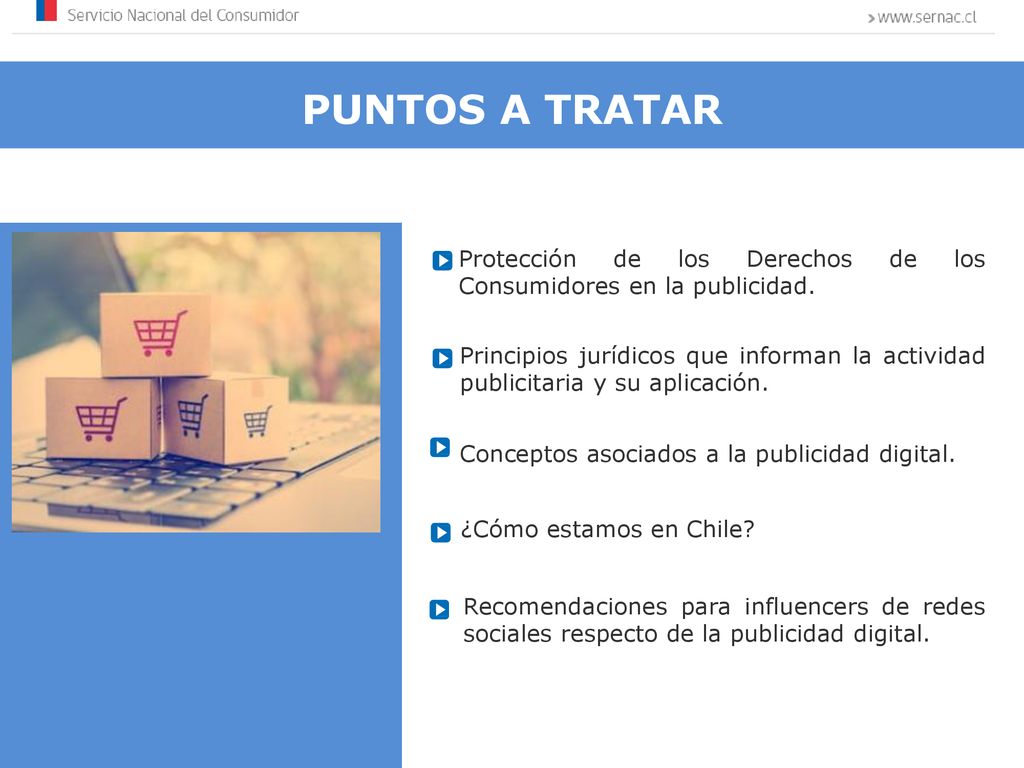 PUNTOS A TRATAR Protección de los Derechos de los Consumidores en la publicidad.