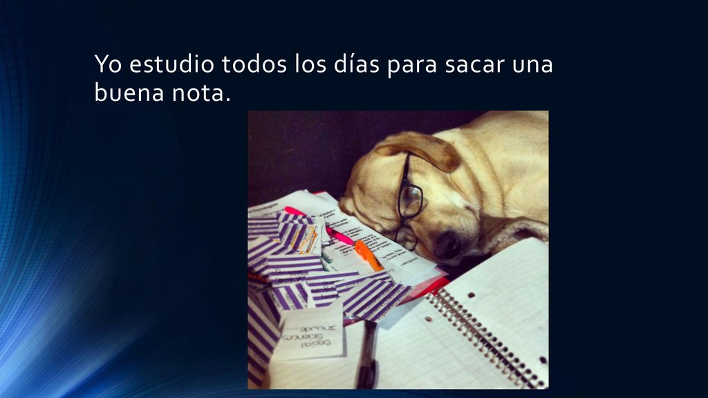 Yo estudio todos los días para sacar una buena nota.