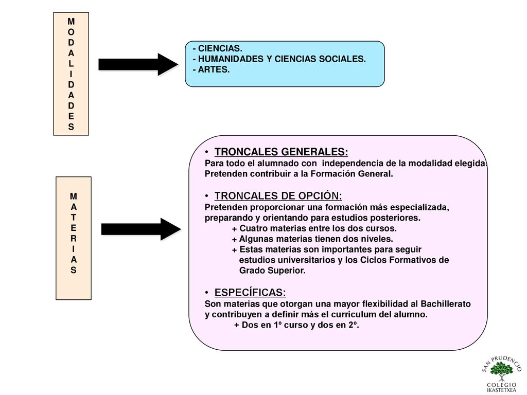 TRONCALES GENERALES: TRONCALES DE OPCIÓN: ESPECÍFICAS: M O D A L I