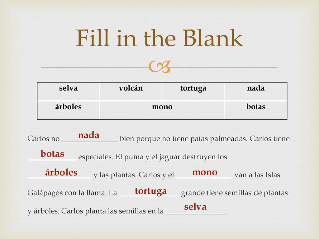 Fill in the Blank nada botas árboles mono tortuga selva selva volcán