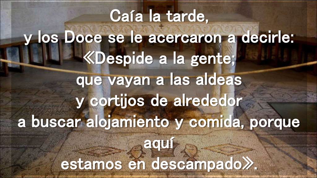 Caía la tarde, y los Doce se le acercaron a decirle: «Despide a la gente; que vayan a las aldeas y cortijos de alrededor a buscar alojamiento y comida, porque aquí estamos en descampado».