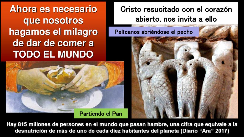 Ahora es necesario que nosotros hagamos el milagro de dar de comer a TODO EL MUNDO