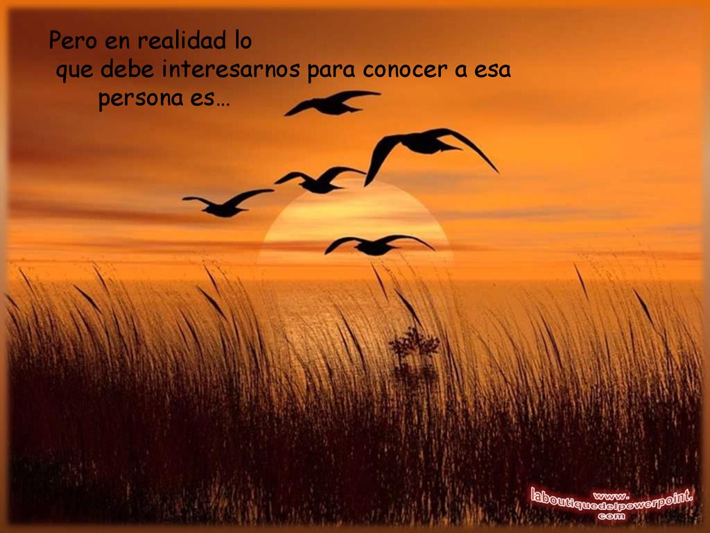 Pero en realidad lo que debe interesarnos para conocer a esa persona es…