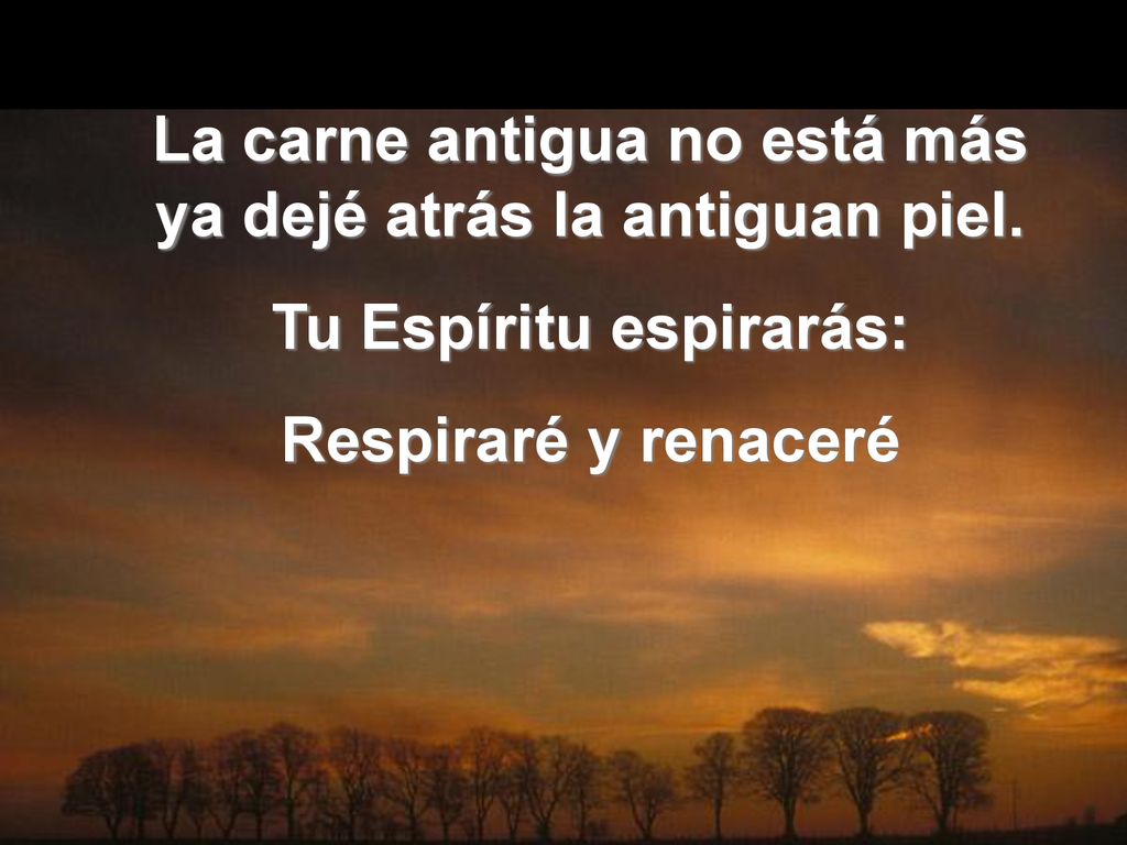La carne antigua no está más ya dejé atrás la antiguan piel.