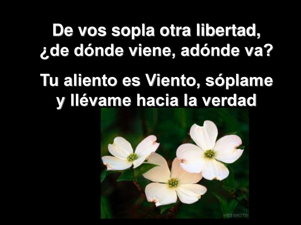 De vos sopla otra libertad, ¿de dónde viene, adónde va