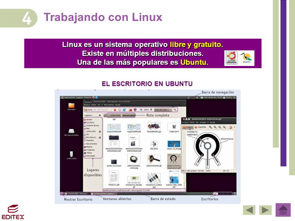 Trabajando con Linux Linux es un sistema operativo libre y gratuito.