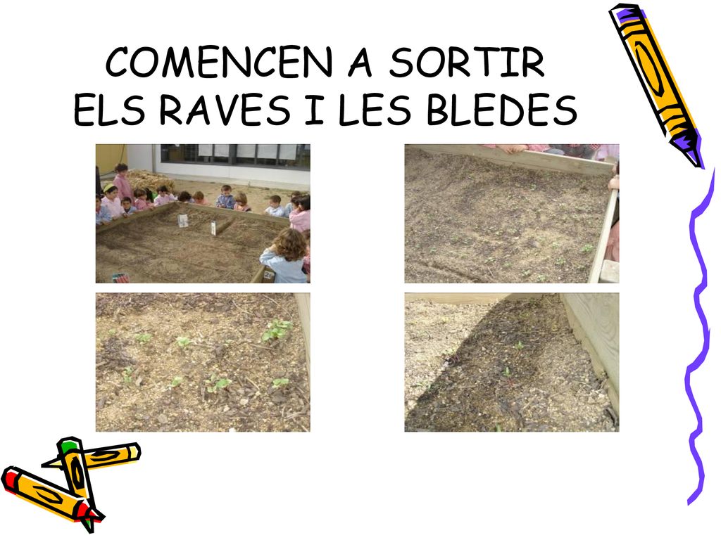 COMENCEN A SORTIR ELS RAVES I LES BLEDES