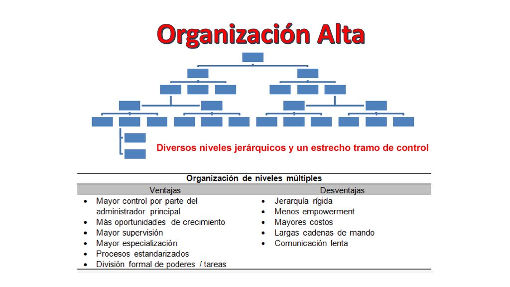 Organización Alta Diversos niveles jerárquicos y un estrecho tramo de control