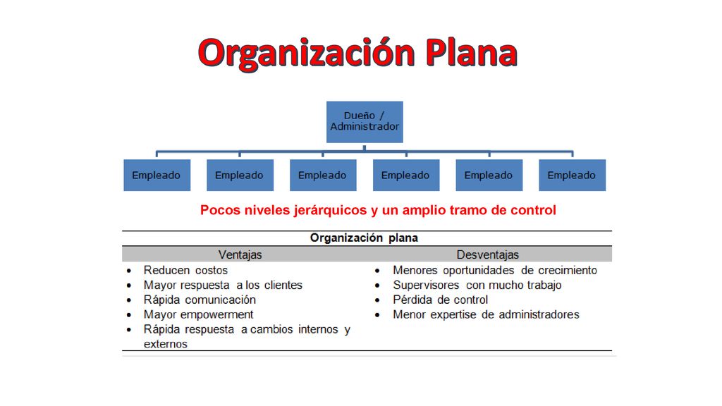 Organización Plana Pocos niveles jerárquicos y un amplio tramo de control
