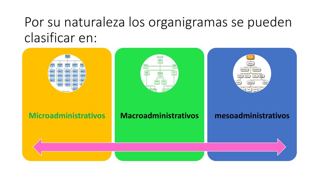 Por su naturaleza los organigramas se pueden clasificar en: