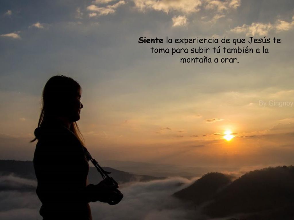 Siente la experiencia de que Jesús te toma para subir tú también a la montaña a orar.