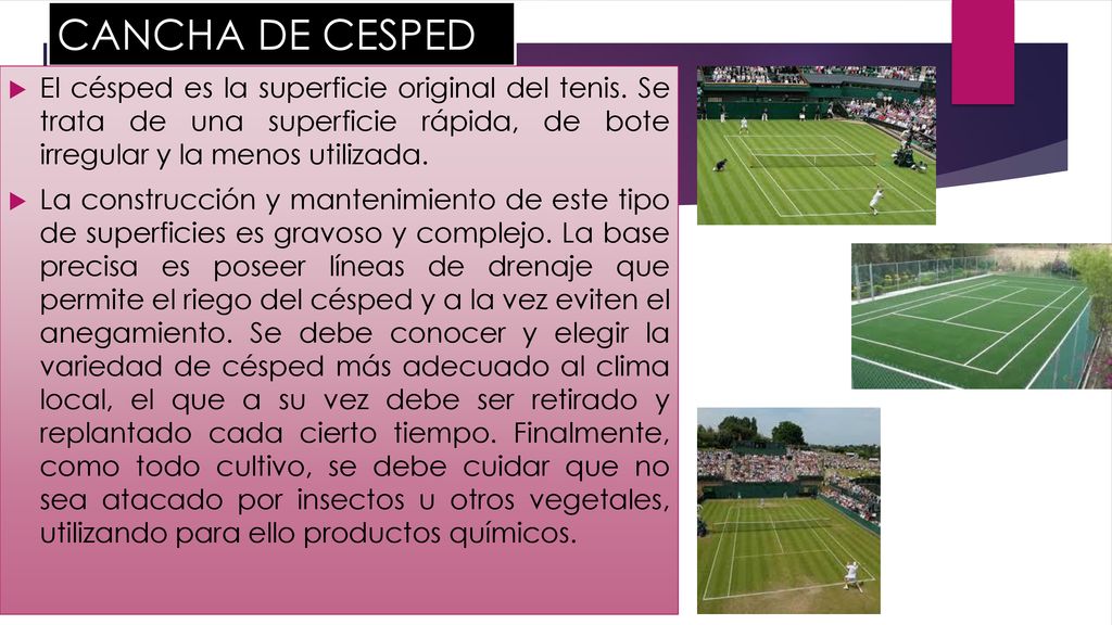 CANCHA DE CESPED El césped es la superficie original del tenis. Se trata de una superficie rápida, de bote irregular y la menos utilizada.