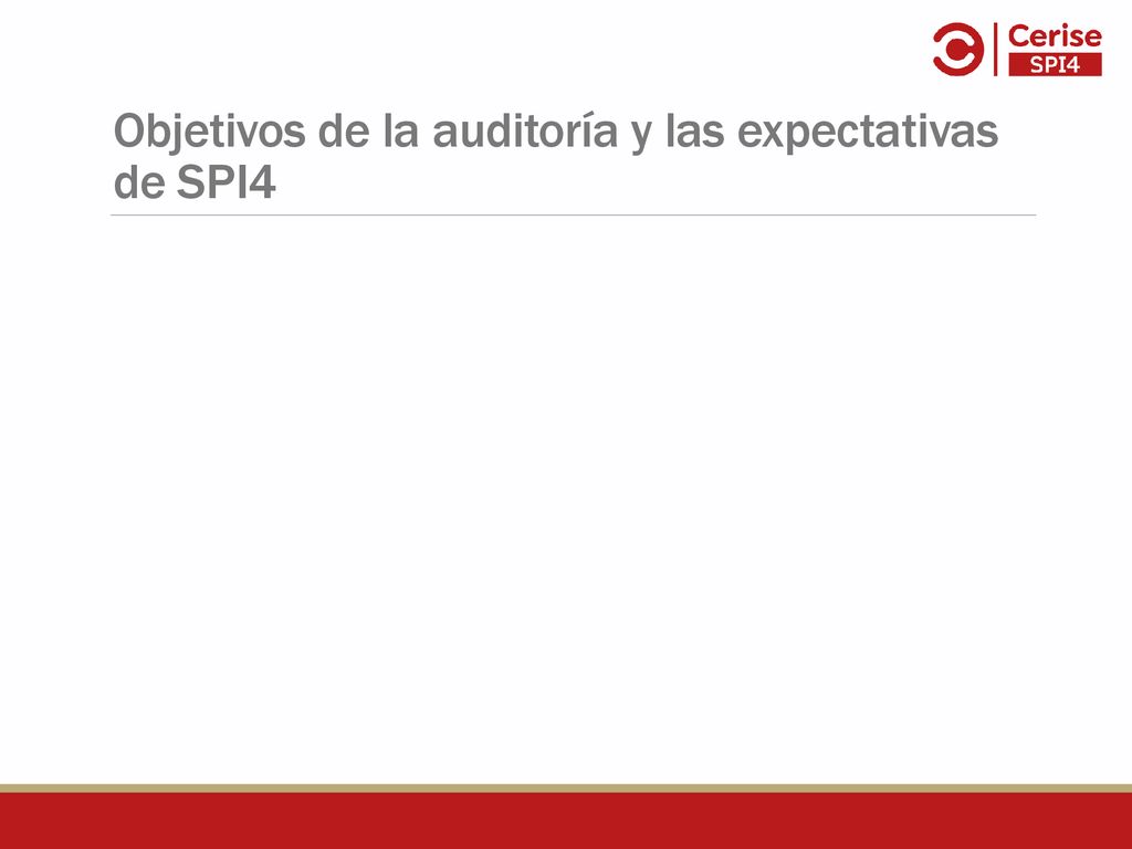 Objetivos de la auditoría y las expectativas de SPI4