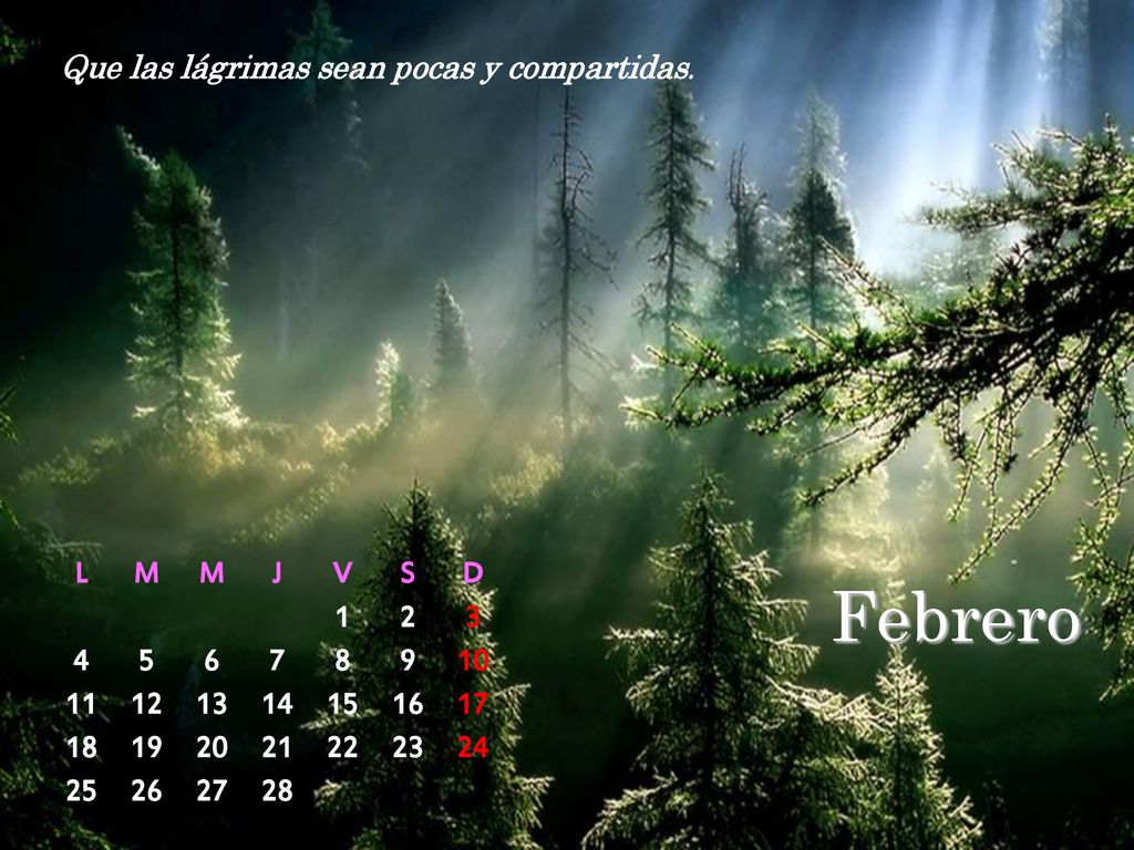 Febrero Que las lágrimas sean pocas y compartidas. L M J V S D