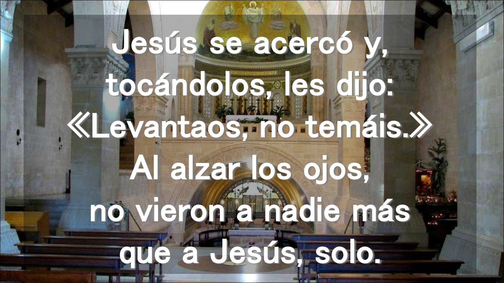 Jesús se acercó y, tocándolos, les dijo: «Levantaos, no temáis