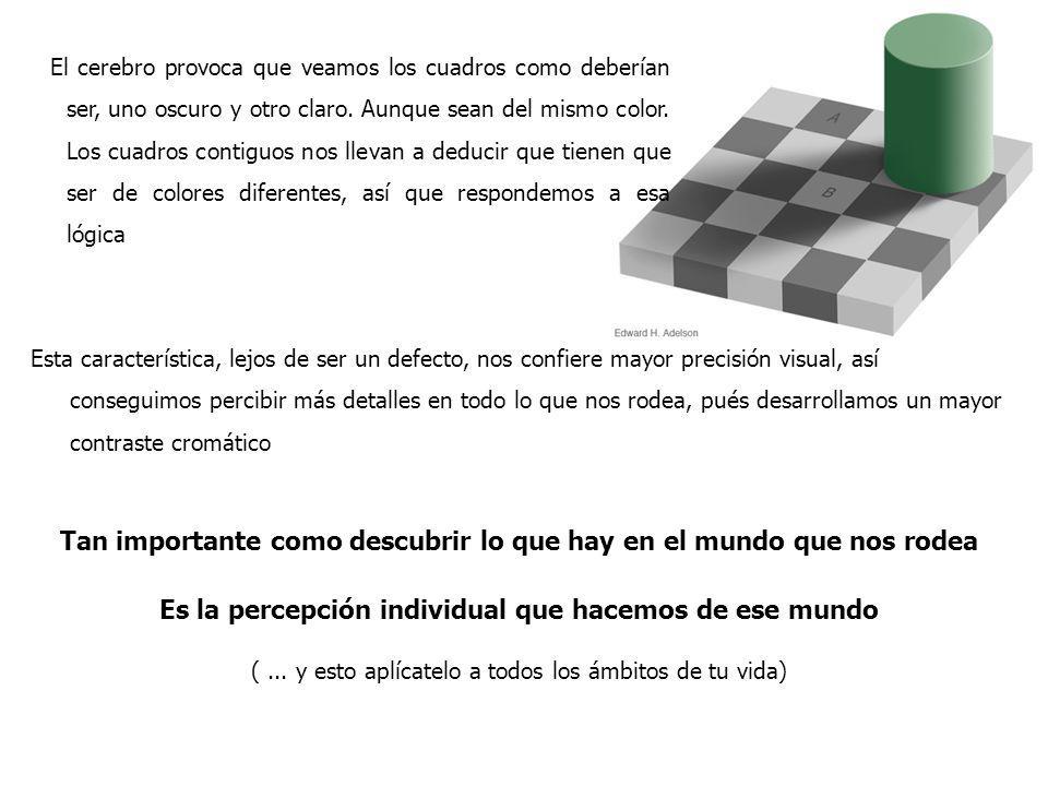Tan importante como descubrir lo que hay en el mundo que nos rodea