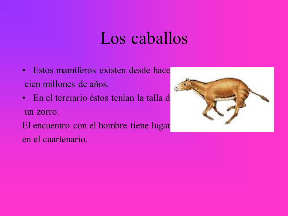 Los caballos Estos mamíferos existen desde hace cien millones de años.
