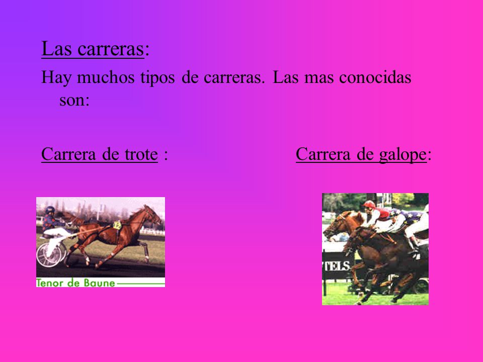 Las carreras: Hay muchos tipos de carreras. Las mas conocidas son: