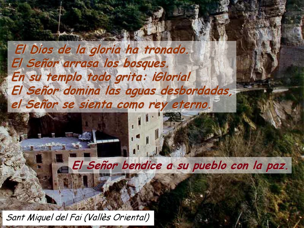 El Dios de la gloria ha tronado. El Señor arrasa los bosques