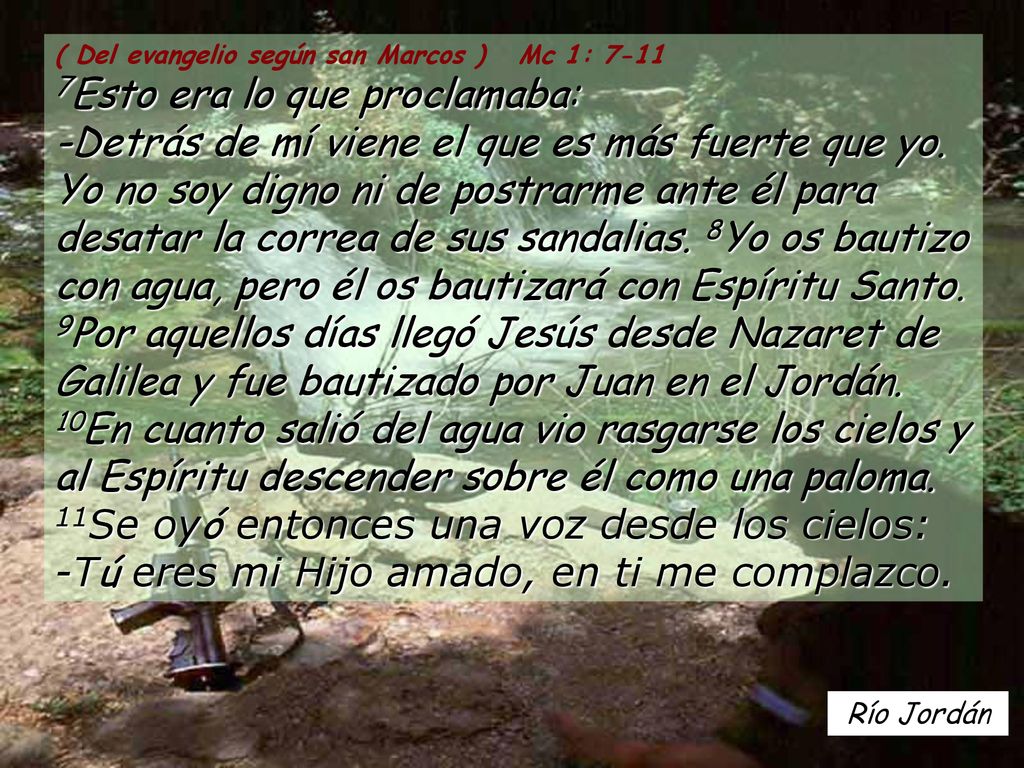 ( Del evangelio según san Marcos ) Mc 1: Esto era lo que proclamaba: -Detrás de mí viene el que es más fuerte que yo. Yo no soy digno ni de postrarme ante él para desatar la correa de sus sandalias. 8Yo os bautizo con agua, pero él os bautizará con Espíritu Santo. 9Por aquellos días llegó Jesús desde Nazaret de Galilea y fue bautizado por Juan en el Jordán. 10En cuanto salió del agua vio rasgarse los cielos y al Espíritu descender sobre él como una paloma. 11Se oyó entonces una voz desde los cielos: -Tú eres mi Hijo amado, en ti me complazco.