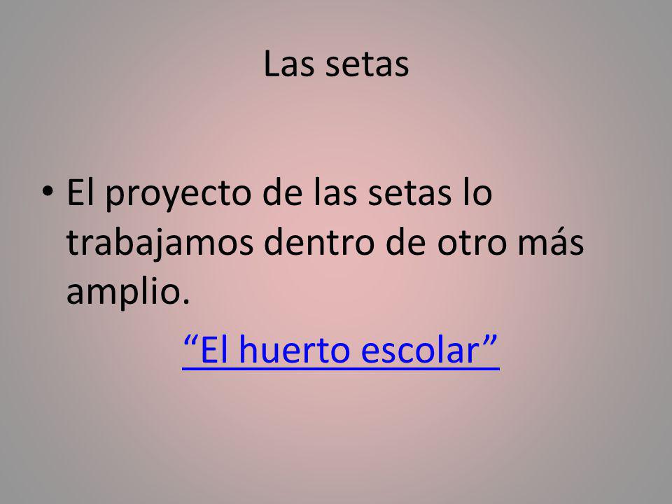 Las setas El proyecto de las setas lo trabajamos dentro de otro más amplio. El huerto escolar