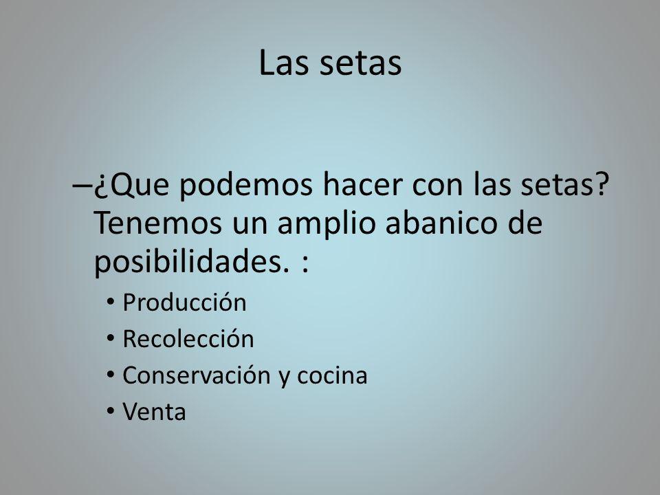 Las setas ¿Que podemos hacer con las setas Tenemos un amplio abanico de posibilidades. : Producción.