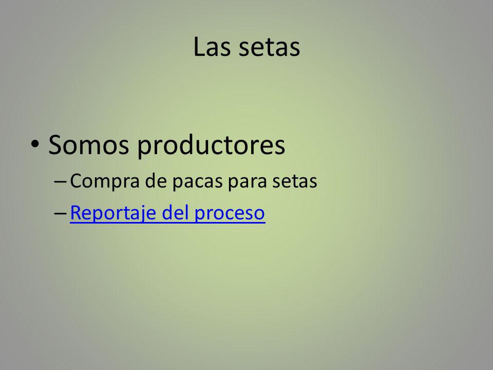 Las setas Somos productores Compra de pacas para setas