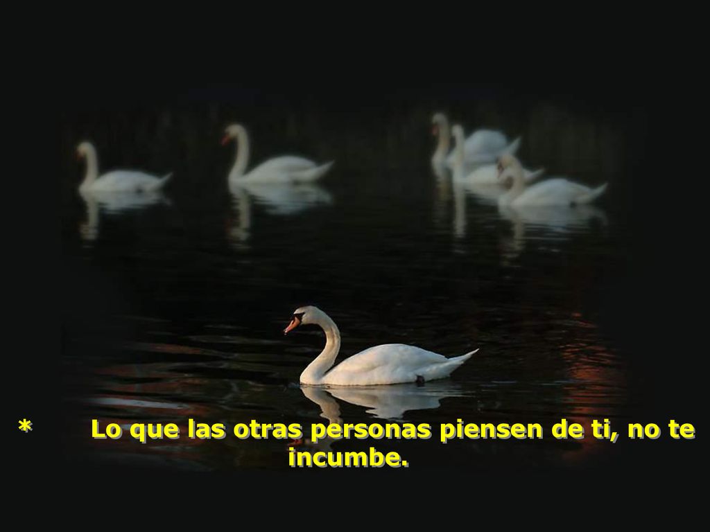 * Lo que las otras personas piensen de ti, no te incumbe.