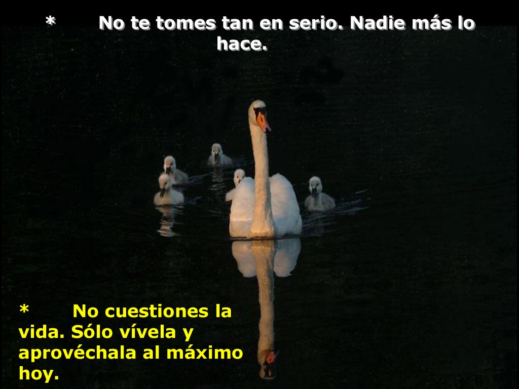 * No te tomes tan en serio. Nadie más lo hace.