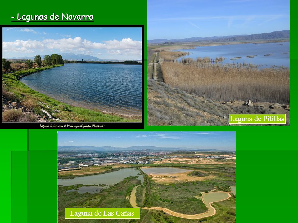- Lagunas de Navarra Laguna de Pitillas Laguna de Pitillas