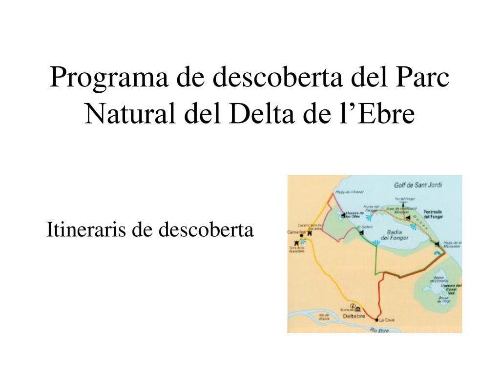 Programa de descoberta del Parc Natural del Delta de l’Ebre
