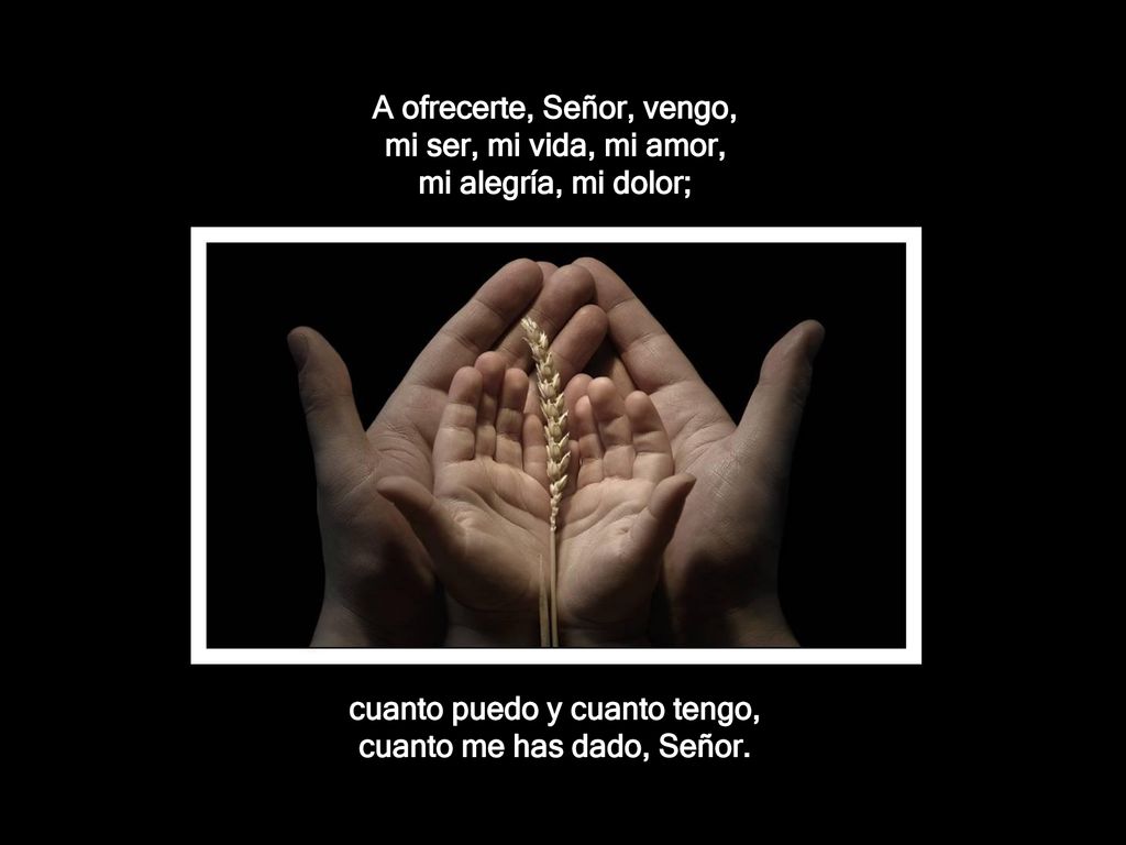 A ofrecerte, Señor, vengo, mi ser, mi vida, mi amor,