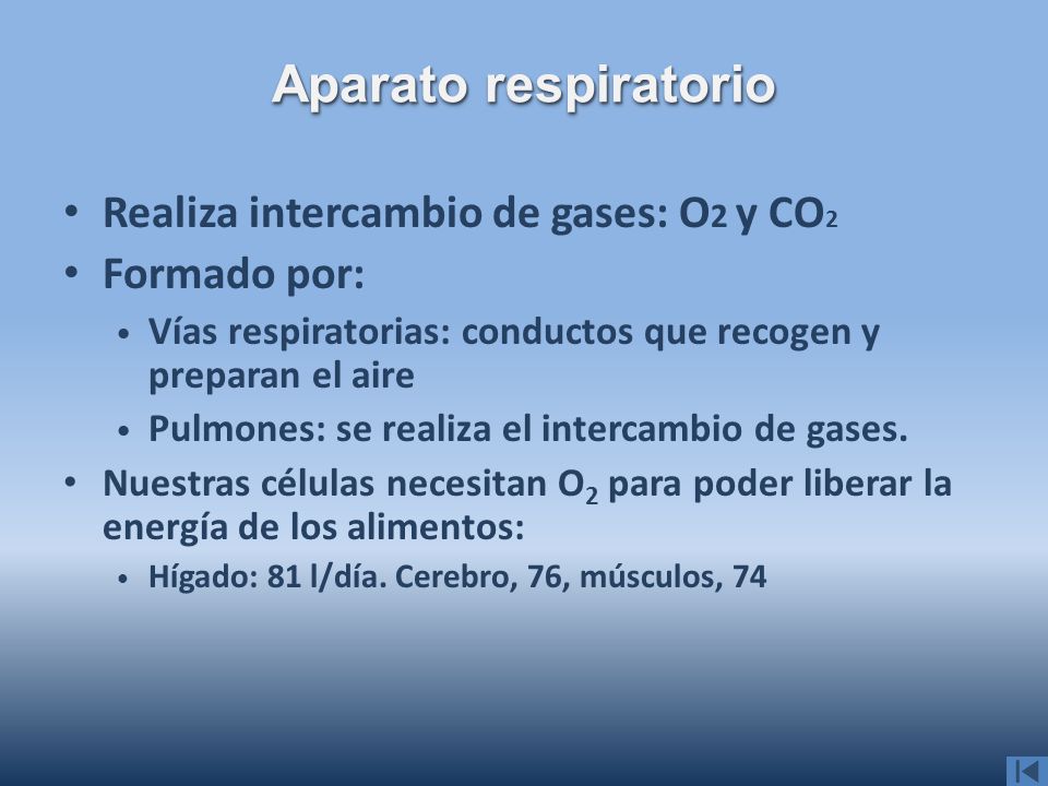 Aparato respiratorio Realiza intercambio de gases: O2 y CO2