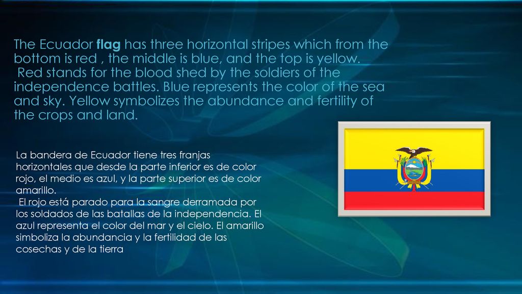 The Ecuador flag has three horizontal stripes which from the bottom is red , the middle is blue, and the top is yellow. Red stands for the blood shed by the soldiers of the independence battles. Blue represents the color of the sea and sky. Yellow symbolizes the abundance and fertility of the crops and land.