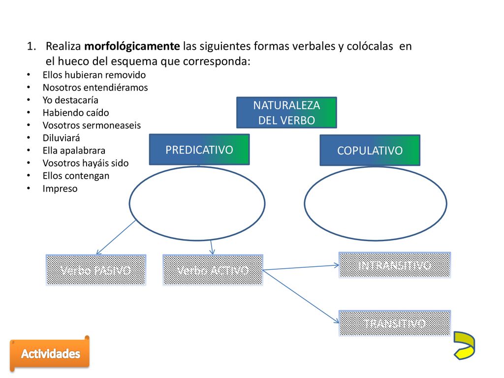 Realiza morfológicamente las siguientes formas verbales y colócalas en el hueco del esquema que corresponda: