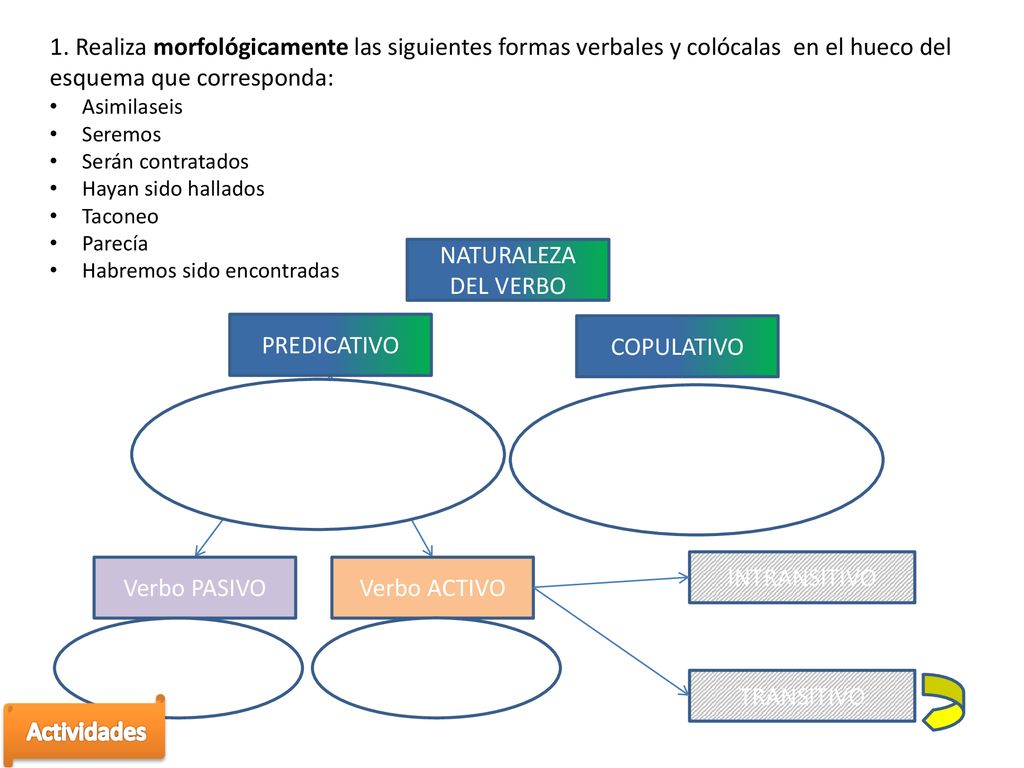 1. Realiza morfológicamente las siguientes formas verbales y colócalas en el hueco del esquema que corresponda: