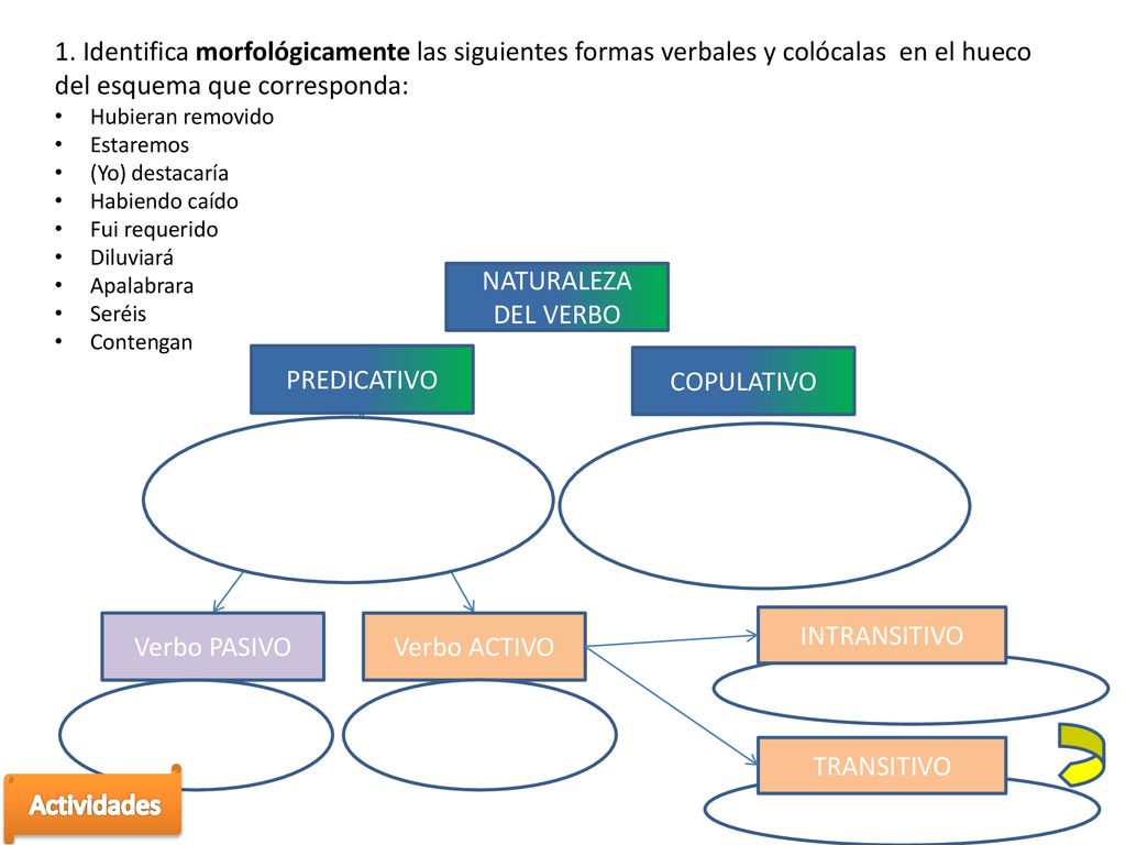 1. Identifica morfológicamente las siguientes formas verbales y colócalas en el hueco del esquema que corresponda: