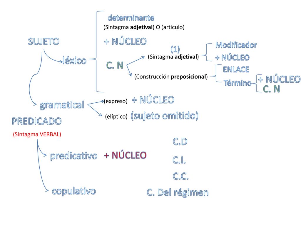 SUJETO + NÚCLEO léxico C. N + NÚCLEO C. N + NÚCLEO gramatical