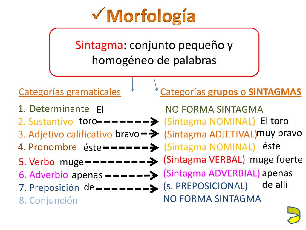 Sintagma: conjunto pequeño y homogéneo de palabras
