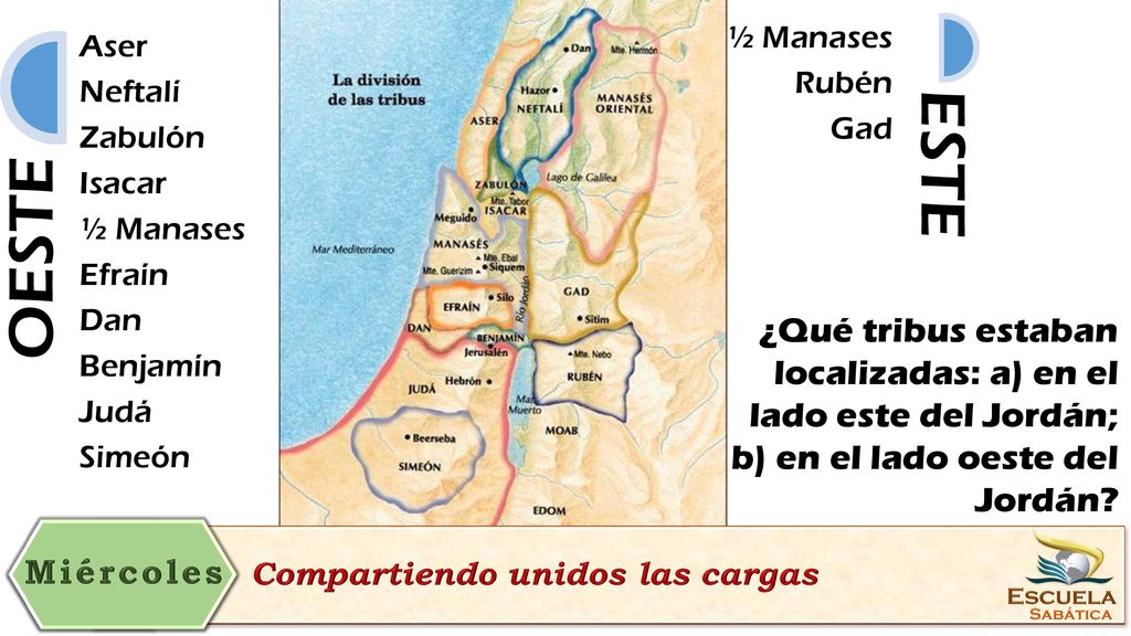 OESTE Aser. Neftalí. Zabulón. Isacar. ½ Manases. Efraín. Dan. Benjamín. Judá. Simeón. ESTE.