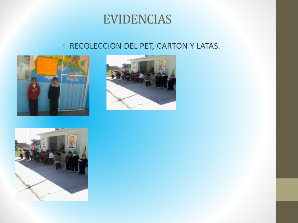 RECOLECCION DEL PET, CARTON Y LATAS.