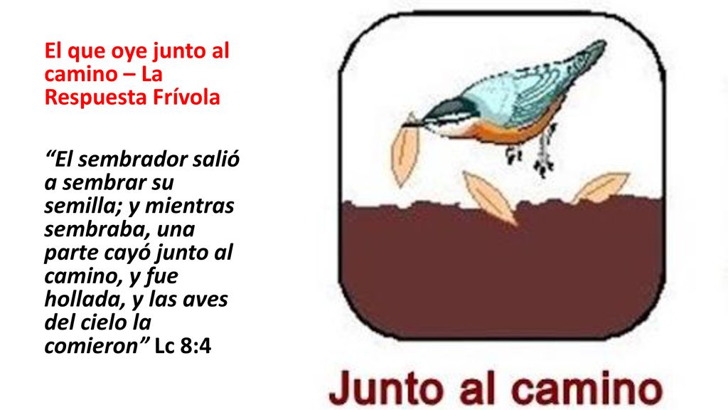 El que oye junto al camino – La Respuesta Frívola